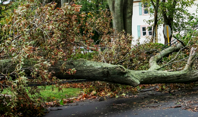 Protect People, Not Pests: Hurricane Recovery Tools to Keep People Safe and Prevent Pest Infestations