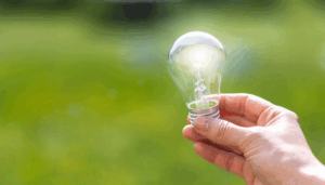 7 ways to be more sustainable