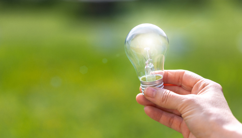 7 ways to be more sustainable