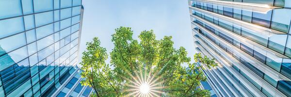 4 Reasons to Retrofit Buildings for Net-zero Operations