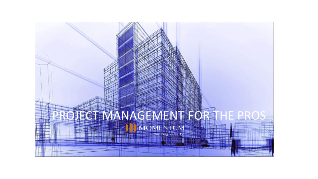 Project Management for the Pros