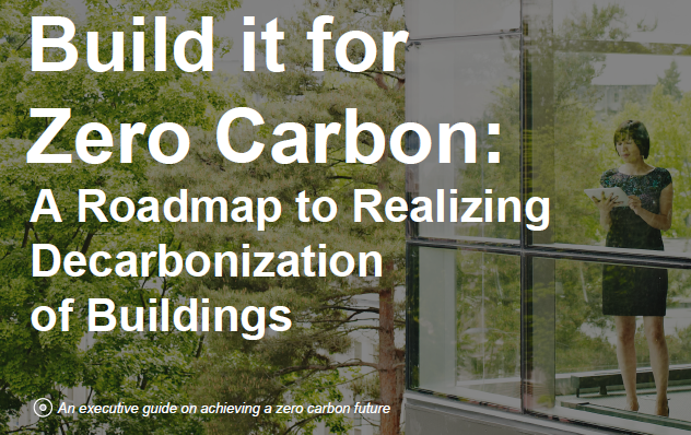 Build it for Zero Carbon: A Roadmap to Realizing Decarbonization of Buildings