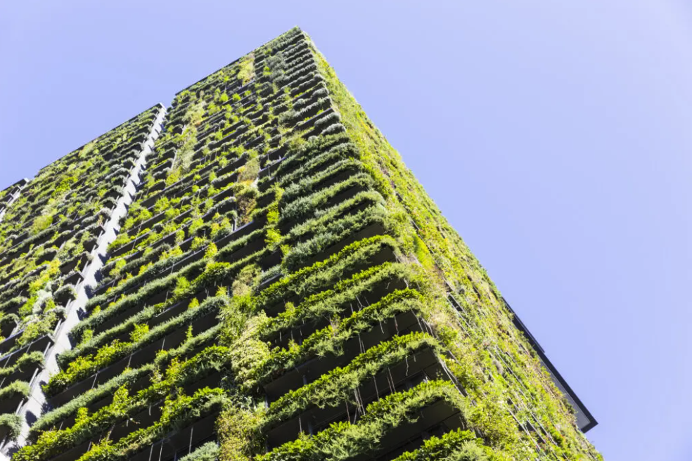How sustainability can differentiate your brand and increase commercial building value