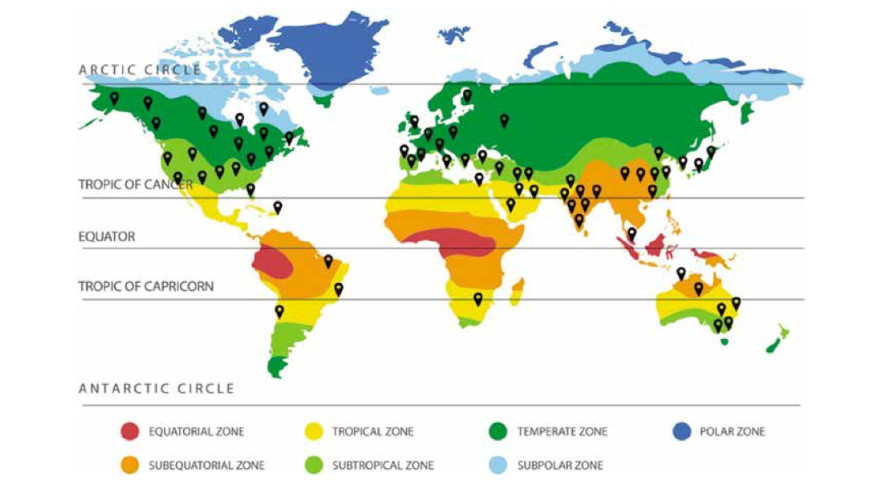 Through the Lens of Time: A Longitudinal Review of Energy Efficiency