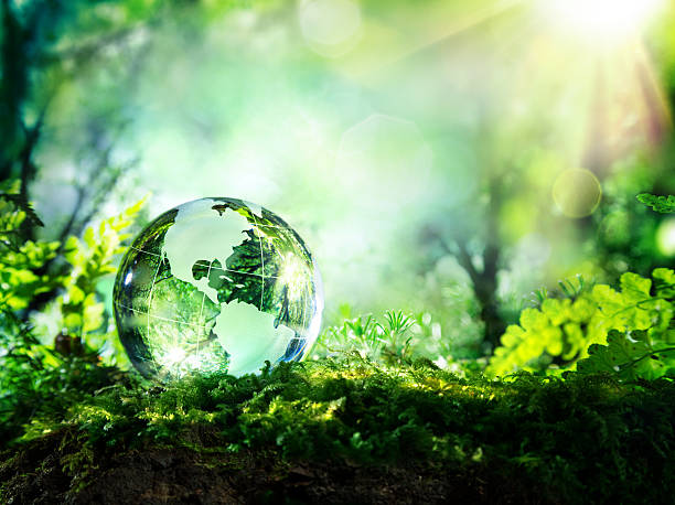 The Vital Role of Integrated FM in a Healthy Building