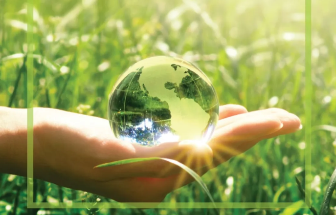 Evaluating the Sustainability of Green Products