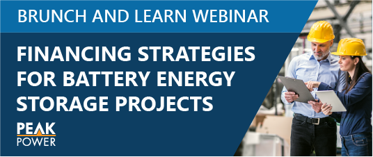 Financing Strategies for Battery Energy Storage Projects